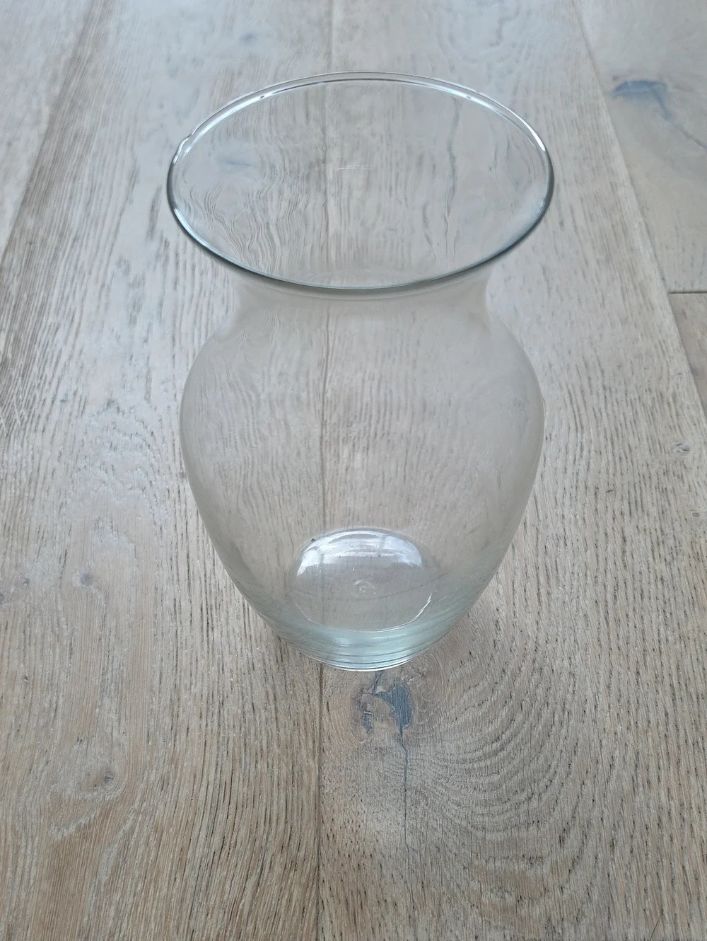Clear Glass Bulb Vase - Elegant Home Accent
